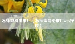 怎样做网络推广（怎样做网络推广wsyx挣钱）