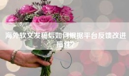 海外软文发稿后如何根据平台反馈改进稿件？
