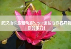 武汉地铁最新动态：2018这些地铁将开到你的家门！