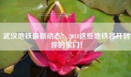 武汉地铁最新动态：2018这些地铁将开到你的家门！