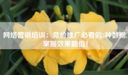 网络营销培训：竞价推广必看的3种数据,掌握效果翻倍！