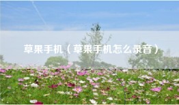 草果手机（草果手机怎么录音）