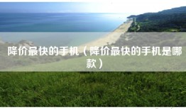 降价最快的手机（降价最快的手机是哪款）