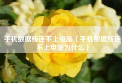 手机数据线连不上电脑（手机数据线连不上电脑为什么）