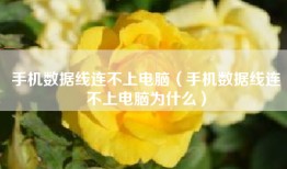 手机数据线连不上电脑（手机数据线连不上电脑为什么）