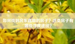 如何找到房东直租的房子？这类房子有哪些寻找途径？