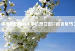 手机黑白图片（手机黑白图片颜色反转）