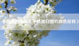 手机黑白图片（手机黑白图片颜色反转）