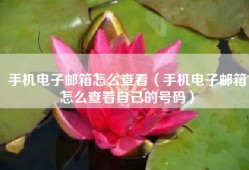 手机电子邮箱怎么查看（手机电子邮箱怎么查看自己的号码）