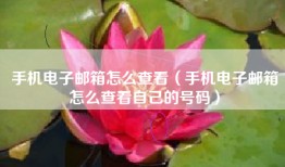 手机电子邮箱怎么查看（手机电子邮箱怎么查看自己的号码）