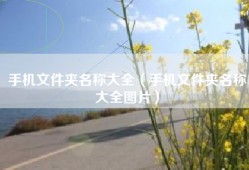 手机文件夹名称大全（手机文件夹名称大全图片）