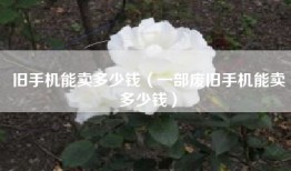 旧手机能卖多少钱（一部废旧手机能卖多少钱）