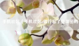 手机社区（手机社区e银行忘了登录密码）