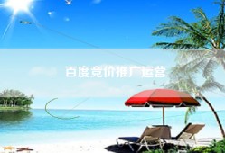 百度竞价推广运营