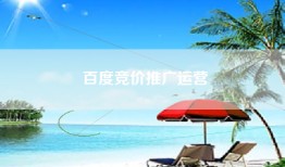 百度竞价推广运营