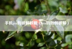 手机pin码破解教程（pin码如何破解）
