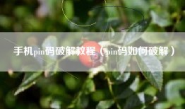 手机pin码破解教程（pin码如何破解）