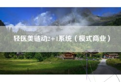 轻医美链动2+1系统（模式商业）