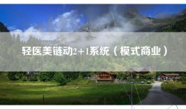 轻医美链动2+1系统（模式商业）