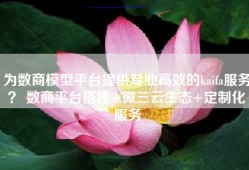 为数商模型平台提供专业高效的kaifa服务？ 数商平台搭建+微三云生态+定制化服务