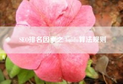 SEO排名因素之 baidu算法规则