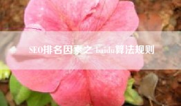 SEO排名因素之 baidu算法规则