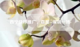 西宁快印推广，百度--深圳一博-
