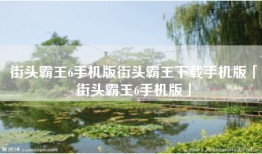 街头霸王6手机版街头霸王下载手机版「街头霸王6手机版」