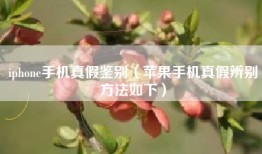 iphone手机真假鉴别（苹果手机真假辨别方法如下）