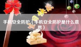 手机安全防护（手机安全防护是什么意思）