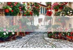 SQL注入漏洞