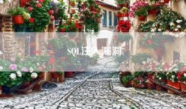 SQL注入漏洞