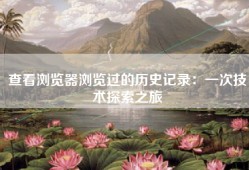 查看浏览器浏览过的历史记录：一次技术探索之旅
