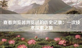 查看浏览器浏览过的历史记录：一次技术探索之旅
