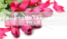 手机dns是什么意思（手机dns是什么意思干什么的）