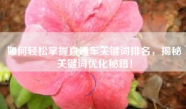 如何轻松掌握直通车关键词排名，揭秘关键词优化秘籍！