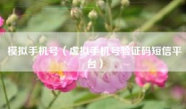 模拟手机号（虚拟手机号验证码短信平台）