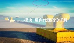 Nginx proxy模块  反向代理指令详解