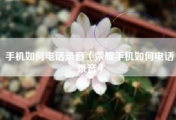 手机如何电话录音（荣耀手机如何电话录音）