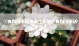 手机如何电话录音（荣耀手机如何电话录音）