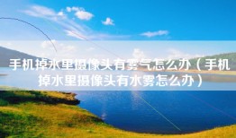 手机掉水里摄像头有雾气怎么办（手机掉水里摄像头有水雾怎么办）
