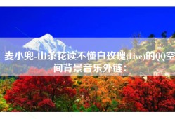 麦小兜-山茶花读不懂白玫瑰(Live)的QQ空间背景音乐外链：