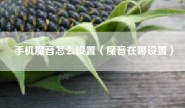 手机魔音怎么设置（魔音在哪设置）