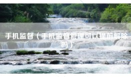 手机监督（手机监督管理可以提前解除吗）