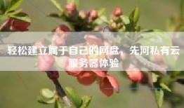 轻松建立属于自己的网盘，先河私有云服务器体验