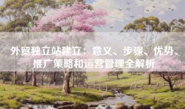 外贸独立站建立：意义、步骤、优势、推广策略和运营管理全解析