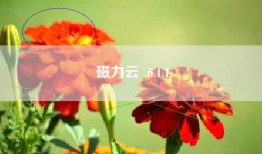 磁力云  6.1.1