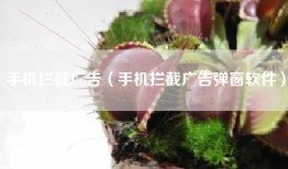 手机拦截广告（手机拦截广告弹窗软件）