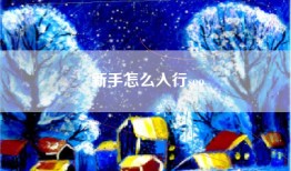 新手怎么入行seo