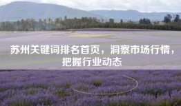 苏州关键词排名首页，洞察市场行情，把握行业动态